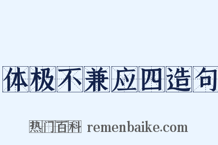 体极不兼应四造句是什么意思的图片